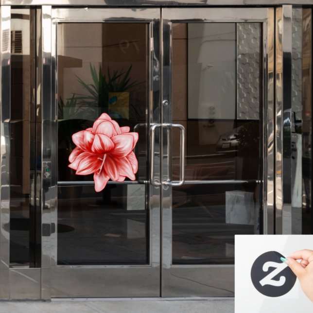 Illustrated Pink and White Amaryllis (Office Door)