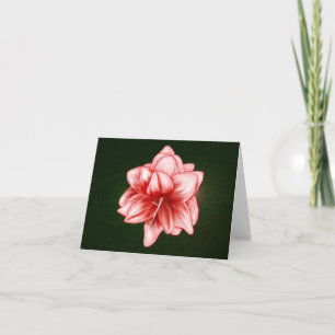 Illustrated Pink and White Amaryllis Note Card