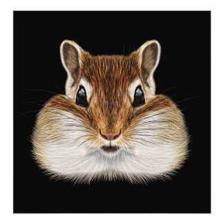 Illustrated portrait of Chipmunk. Photo Print