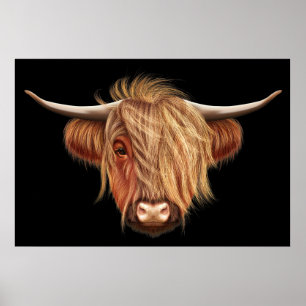 Illustrated portrait of Highland cattle. Poster