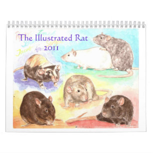Illustrated Rat Portrait Calendar 2011