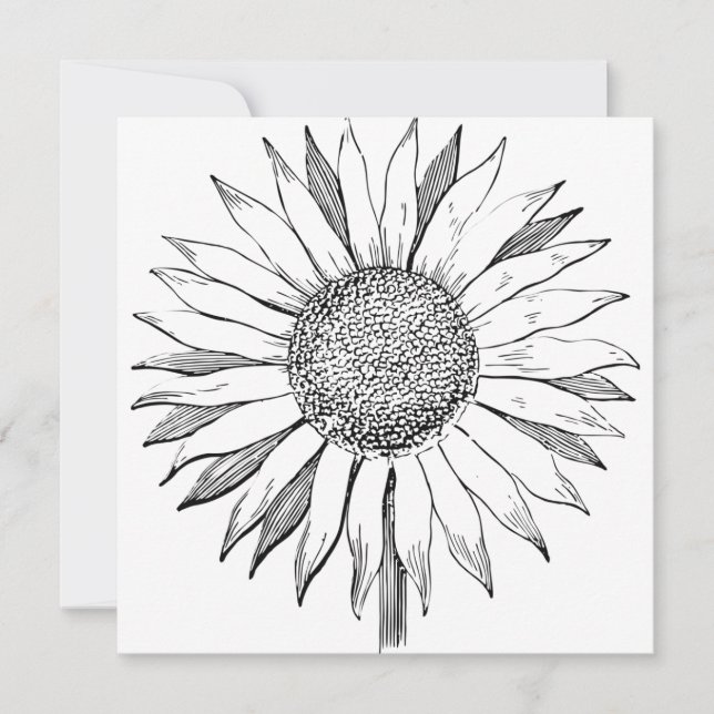 Illustrated Sunflower Card (Front)