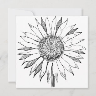 Illustrated Sunflower Card