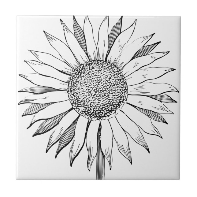 Illustrated Sunflower Ceramic Tile (Front)