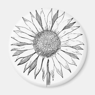 Illustrated Sunflower Magnet