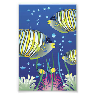 Illustrated Tropical Fish Photo Print