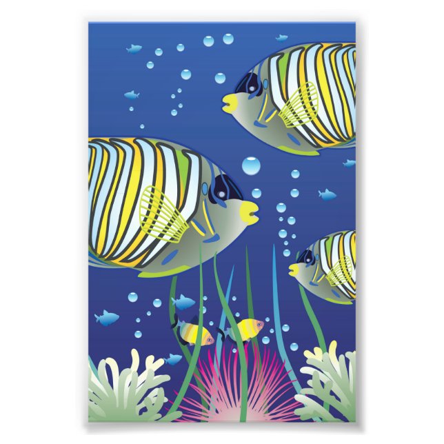 Illustrated Tropical Fish Photo Print (Front)