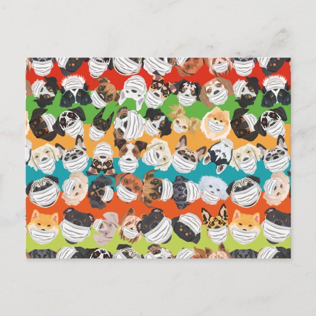Illustration dogs with respirator pattern colourfu postcard (Front)