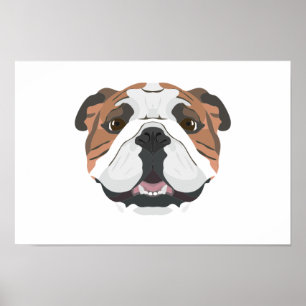 Illustration English Bulldog Poster