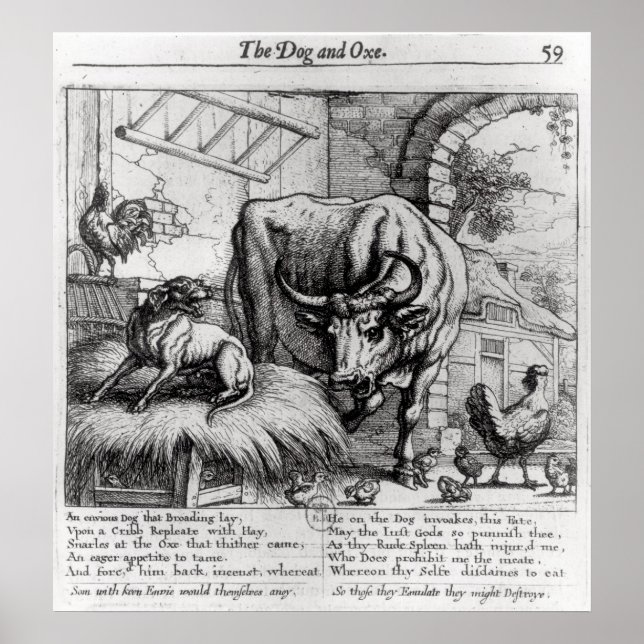 Illustration for 'The Dog and the Ox' Poster (Front)