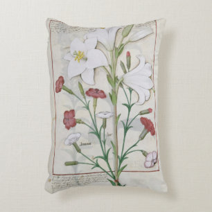 Illustration from the 'Book of Simple Decorative Cushion