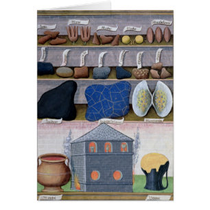 Illustration from the 'Book of Simple Medicines' 2