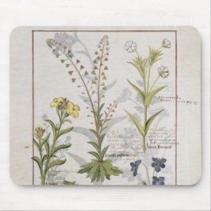 Illustration from the 'Book of Simple Medicines' 2 Mouse Pad