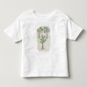Illustration from the 'Book of Simple Medicines' 2 Toddler T-Shirt