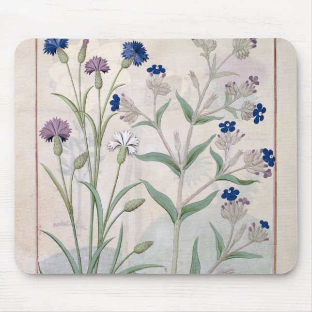 Illustration from the 'Book of Simple Medicines' 3 Mouse Pad (Front)