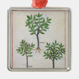 Illustration from the 'Book of Simple Medicines' Metal Tree Decoration