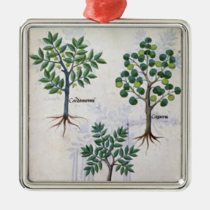Illustration from the 'Book of Simple Medicines' Metal Tree Decoration