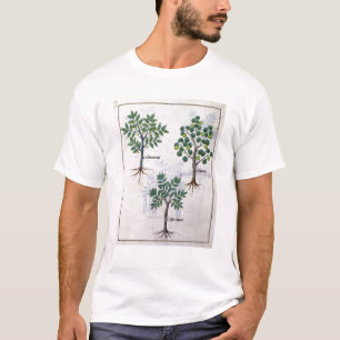 Illustration from the 'Book of Simple Medicines' T-Shirt