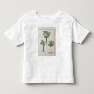 Illustration from the 'Book of Simple Medicines' Toddler T-Shirt