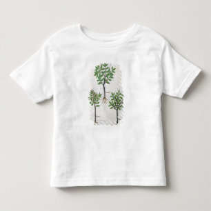 Illustration from the 'Book of Simple Medicines' Toddler T-Shirt