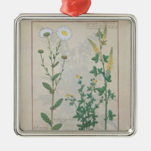 Illustration from 'The Book of Simple Metal Tree Decoration