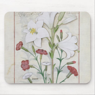 Illustration from the 'Book of Simple Mouse Pad