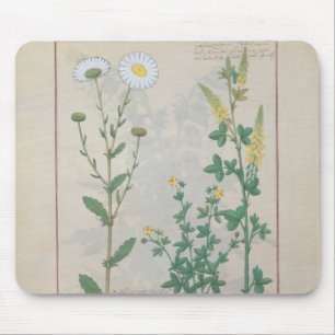 Illustration from 'The Book of Simple Mouse Pad