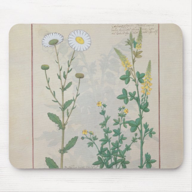 Illustration from 'The Book of Simple Mouse Pad (Front)