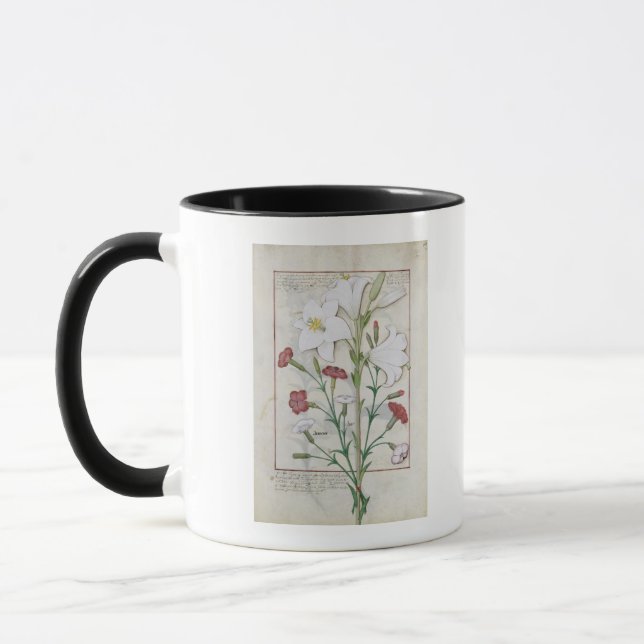Illustration from the 'Book of Simple Mug (Left)