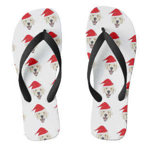 Illustration golden retriever with red Santa hat Thongs