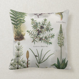 Illustration in ""MON DOCTEUR" Cushion