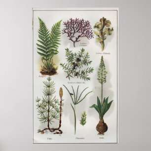 Illustration in ""MON DOCTEUR" Poster