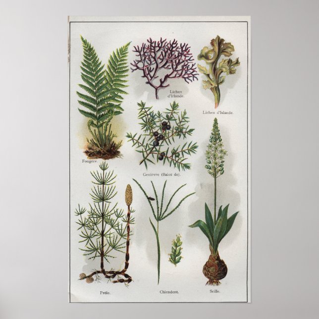 Illustration in ""MON DOCTEUR" Poster (Front)