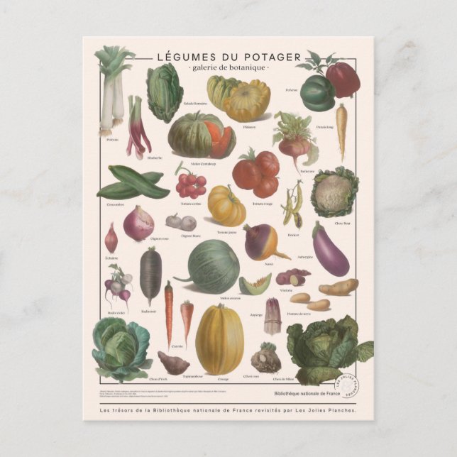 Illustration légumes postcard (Front)