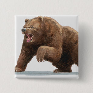 Illustration of a Brown bear 15 Cm Square Badge