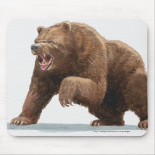 Illustration of a Brown bear Mouse Pad