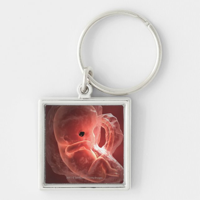 Illustration of a developing embryo key ring (Front)