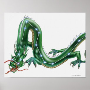 Illustration of a dragon with the Dragon (Draco) Poster