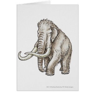 Illustration of a mammoth