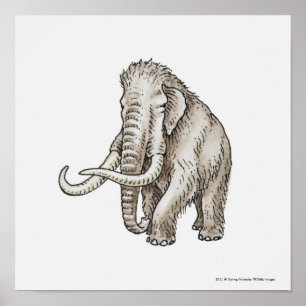 Illustration of a mammoth poster