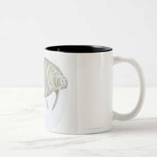 Illustration of a Manatee (Trichechus sp.) Two-Tone Coffee Mug