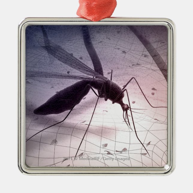 Illustration of a mosquito biting metal tree decoration (Front)