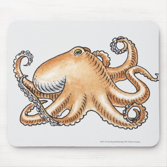 Illustration of an octopus mouse pad (Front)
