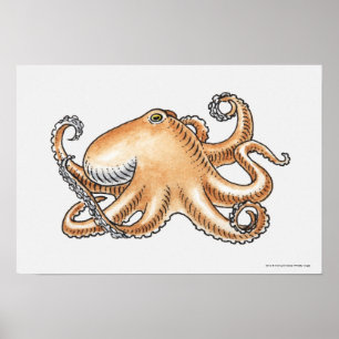 Illustration of an octopus poster