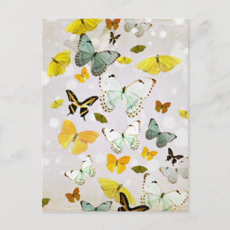Illustration of butterflies postcard