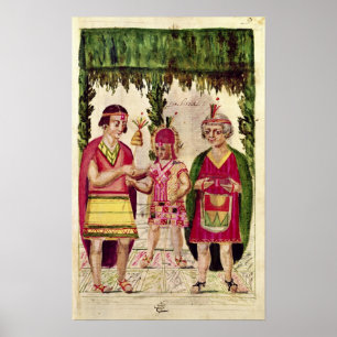 Illustration of Cincheroca Poster