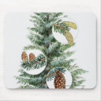 Illustration of coniferous tree with cones