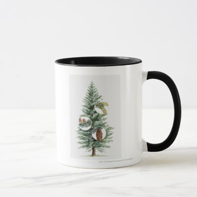 Illustration of coniferous tree with cones mug (Right)
