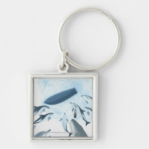 Illustration of dolphins looking up at a boat key ring