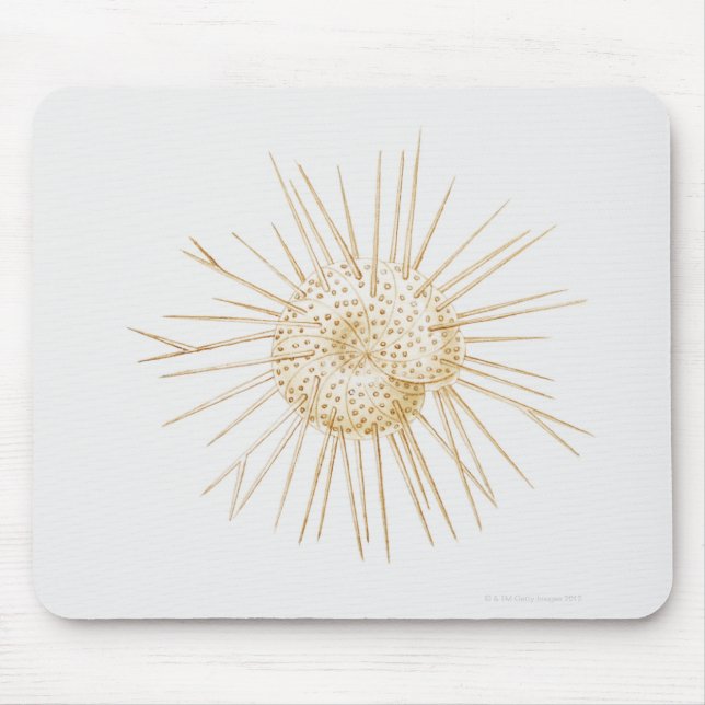 Illustration of foraminiferan shell mouse pad (Front)